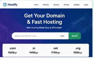Hosting and domain website project preview